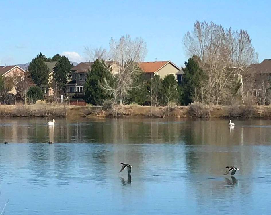 Fairview Reservoir - Photo by Adam Frederick
